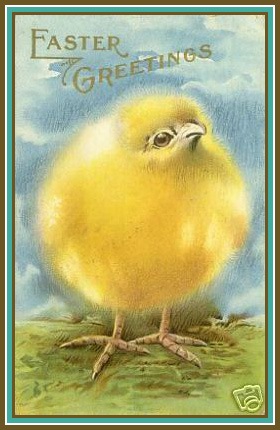 FuzzyChickPostcard